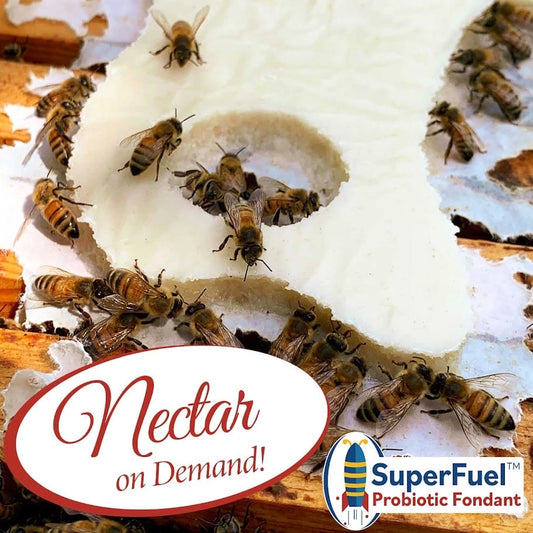SuperFuel | Probiotic Fondant for Honey Bees | 80 gram Bar