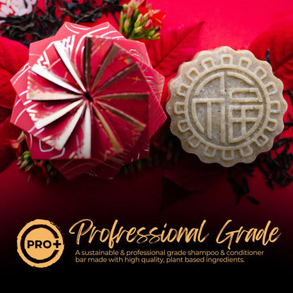 EPS bee hive-shaped shampoo bar with embossed design and red origami packaging on red background