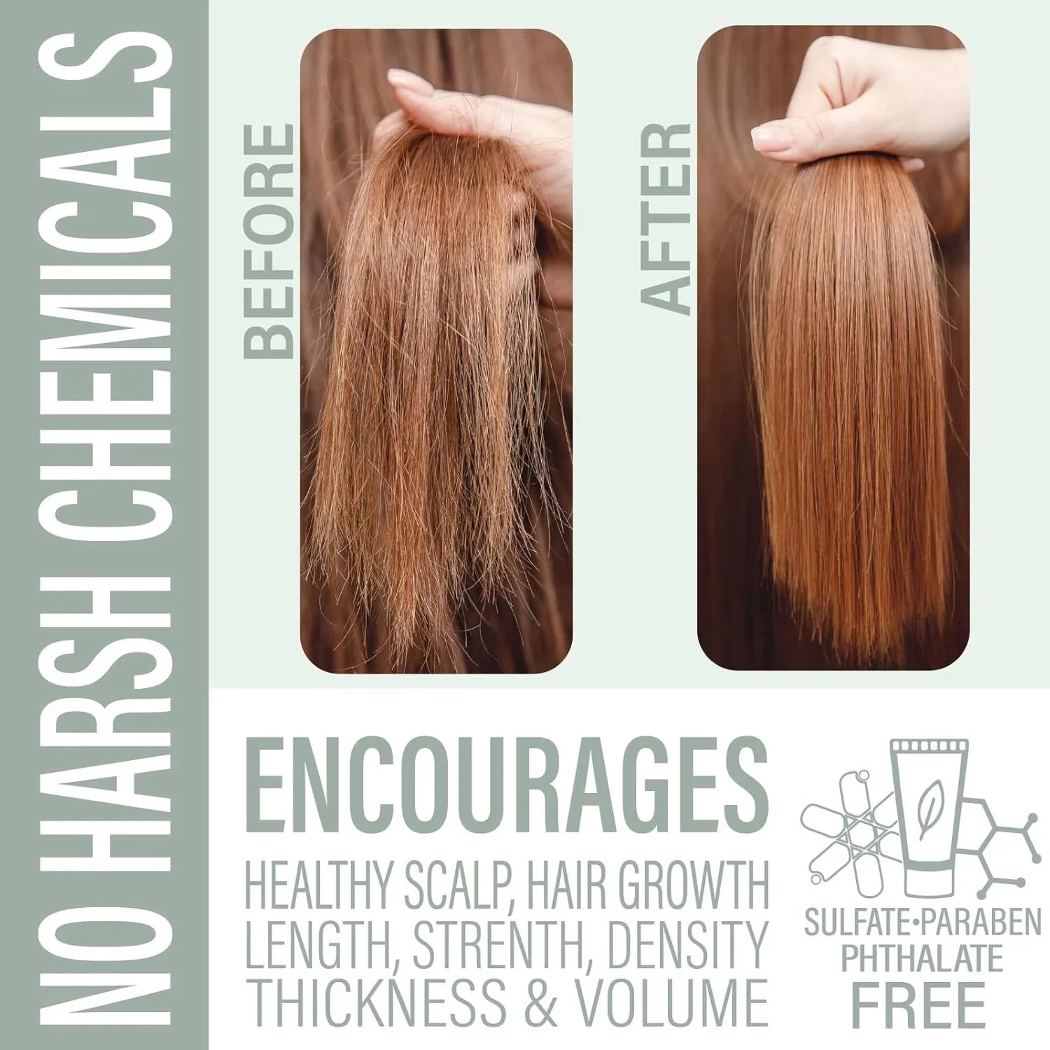 Tea Tree Mint Shampoo Bar - Repels Insects