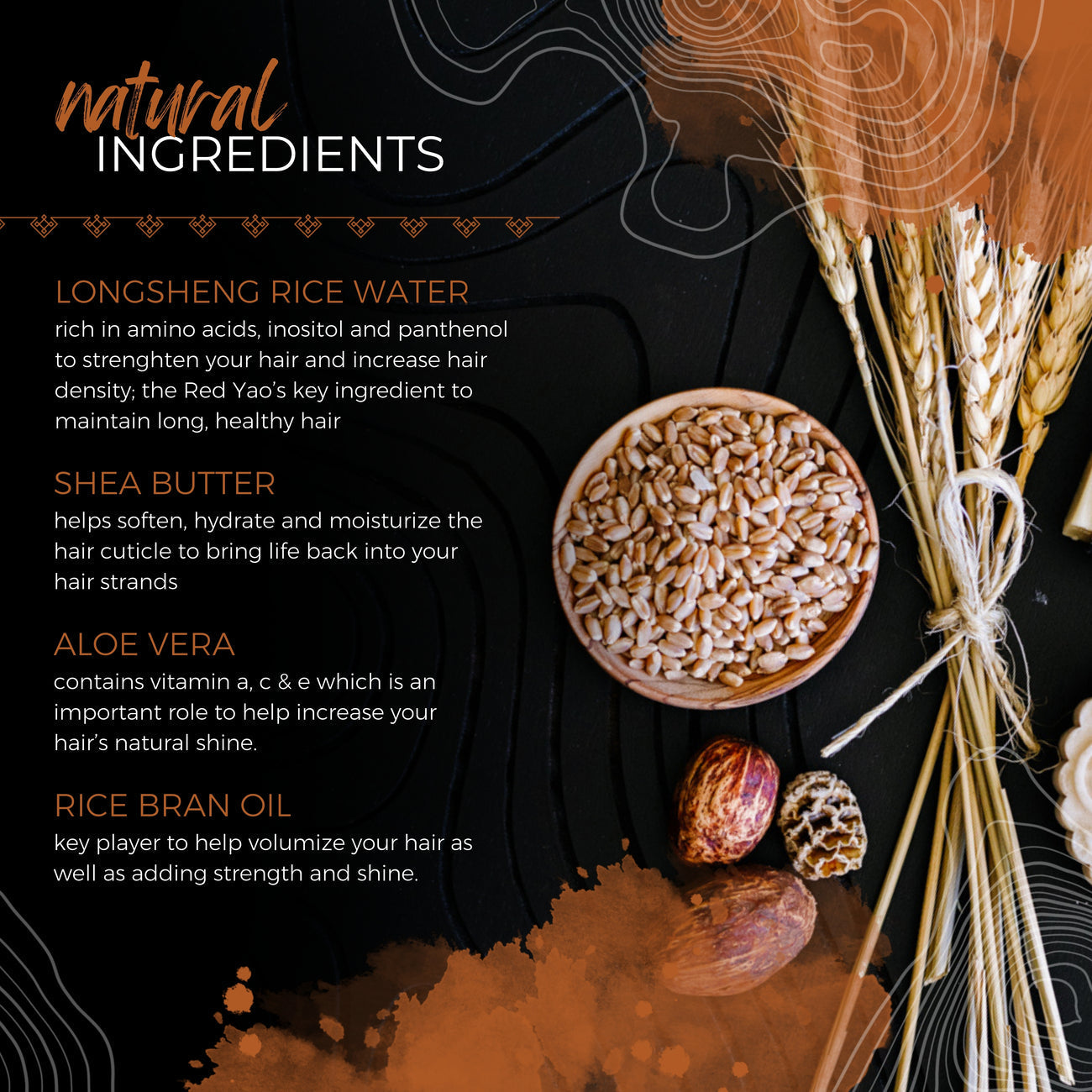 Natural ingredients for hair care including longsheng rice water, shea butter, aloe vera, and rice bran oil with wheat stalks and seeds
