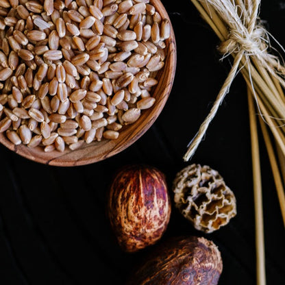 Wooden bowl filled with wheat grains next to dried pods and bundle of wheat stalks on black surface