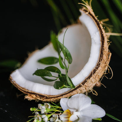 Close-up of cracked open coconut with green leaves and white orchid flowers on dark background