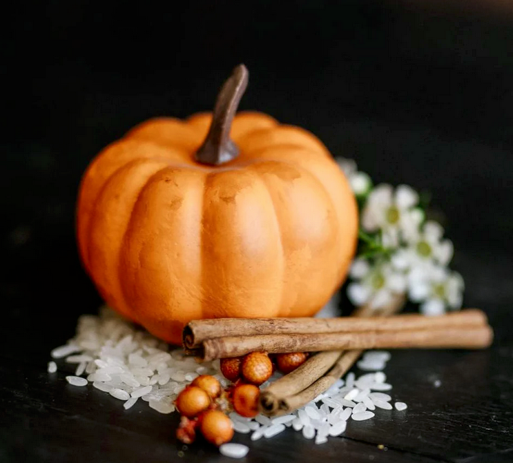 Pumpkin Spice Conditioner | Viori | SBS