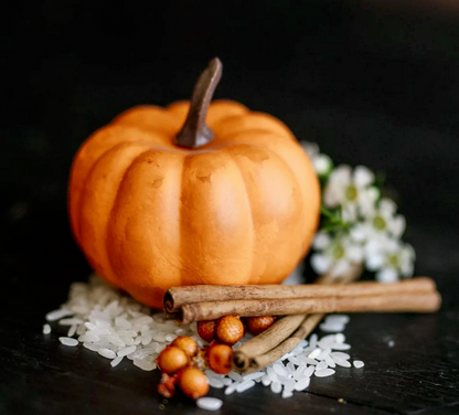 Pumpkin Spice Conditioner | Viori | SBS